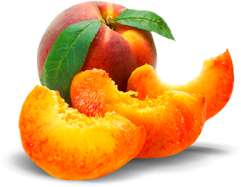 Niko Pirosmani Exlusive VS